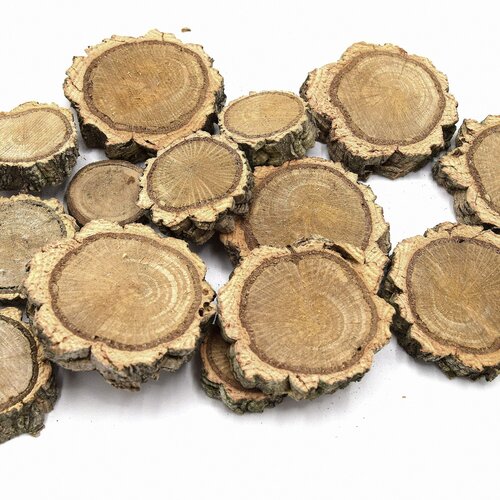 X20 rondelles de bois pour décoration chêne liège ø  ~ 30/55mm -  non traité, non vernis