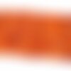 Perles corail bambou orange colonne - lot de 50 perles