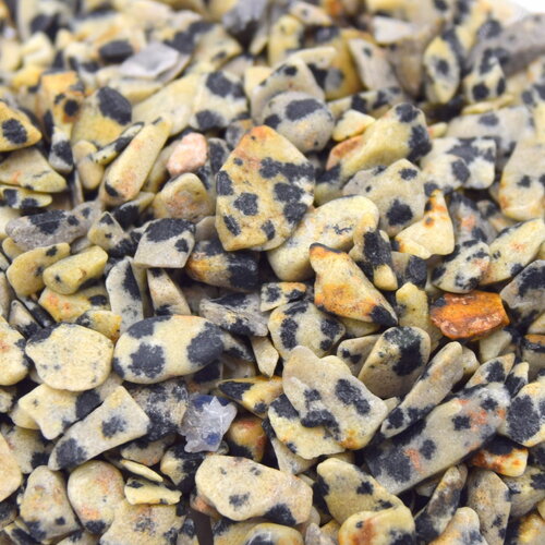 50 g de puces de  jaspe dalmatien non percés sachets