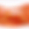 Perles agates veine dragon rondes orange ø6mm x20 unités