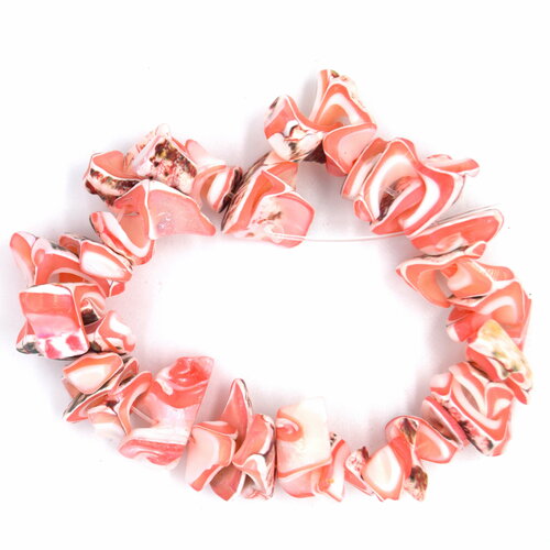 Perles de coquille de trochid naturel rose -  ~40 unités par stand.
