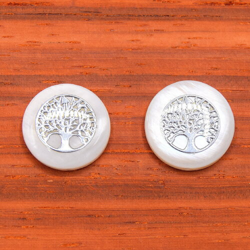 5 perles coquillage d'eau douce naturelles rondes  plates ø15mm arbre de vie