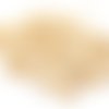 100grs de coquillages cauris declasses pour collage  13~16x10mm ~11x3~5 mm (environs 200 coquillages)