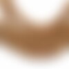 10 perles de rudraksha naturelles non teintes, ronde marron ~8mm