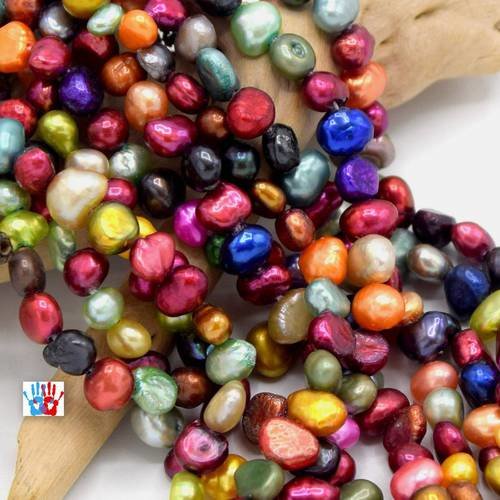 1 chapelet perles d'eau douce oignon multicolore perle de nacre coquillage   pc16 