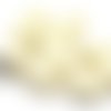 5 perle coquillage en corail  beige percé 17 mm pi 