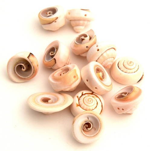 X10 perles de coquillage puka spirale  coq201602 