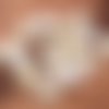 10 cauris coquillage naturel percé 18~20 mm coq201601 