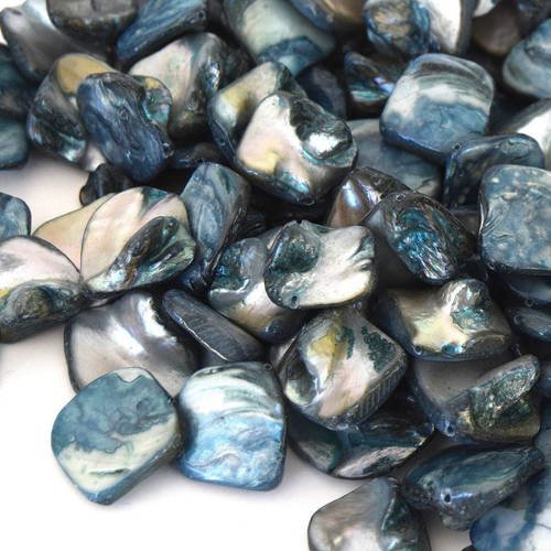 Lot de 10 perles de coquille d'eau douce (nacre) bleu ref pct201601 