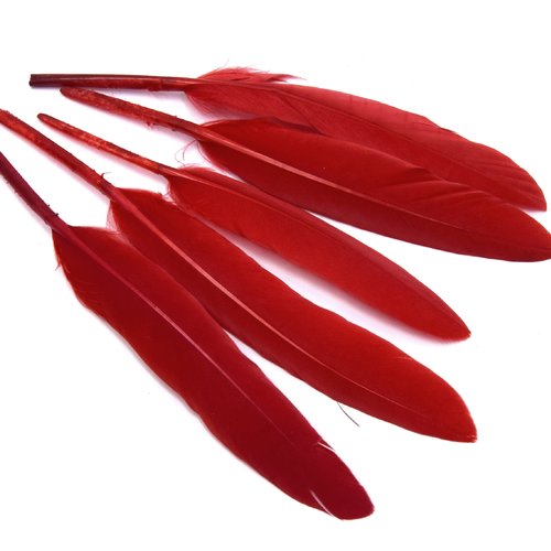 X20 plumes d'oie rouge - 