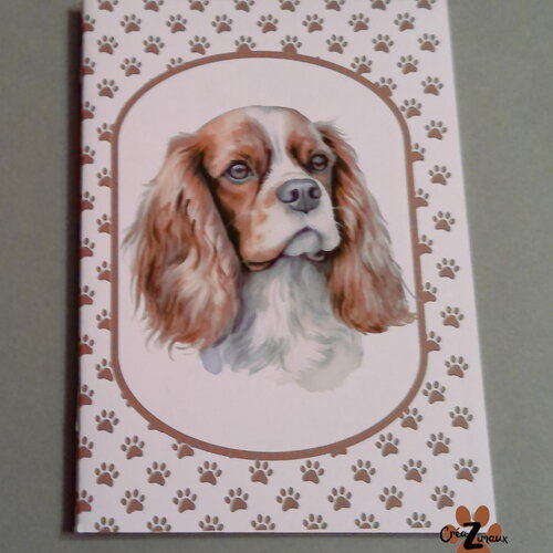Carne de note - chien - cavalier king charles