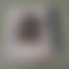 Carnet de note - chien - terre neuve