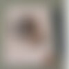 Carnet de note - chien - saint bernard