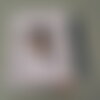 Carnet de note - chien - bouvier bernois