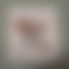 Carnet de note - chien - epagneul breton