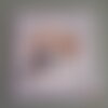 Carnet de note - chien - beagle
