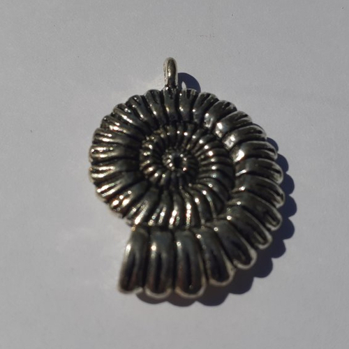 Breloque/charms /coquillage/argenté/ métal argenté sans nickel