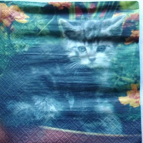 Loisirs Creatifs 122 Chat Qui Fait Sa Toilette Ref Serviettes Papier Jumpownia Pl