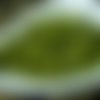 Vert olive métallisé travertin tchèque en verre de forme oblongue ovale entretoise farfalle d'arachi sku-18275