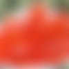 Mélanger de grandes clair orange halloween tchèque facettes feu poli ronde perles de verre 12mm 20g  sku-18206