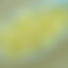 100pcs nacré topaze jaune cotton candy ronde à facettes feu poli entretoise tchèque perles de verre  sku-34465
