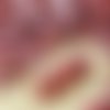 40pcs pearl shine rouge brun de feuilles d'automne petite cloche fleur de bouchons de verre tchèque  sku-32371