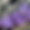 Nouvelle forme de 12pcs brillant vega violet rond de disque rondelle un trou de verre tchèque perles sku-19226