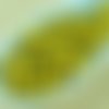 100pcs opaque citrine jaune citron bleu en terre cuite rond à facettes feu poli petite entretoise tc sku-33100