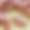 6pcs picasso brun soyeux valentine rose opale ovale et plate de pétales de table à la fenêtre de cou sku-32600