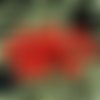 Nouvelle forme 20pcs mat rouge rustique rugueux agité plat rond de disque un trou de verre tchèque p sku-26285