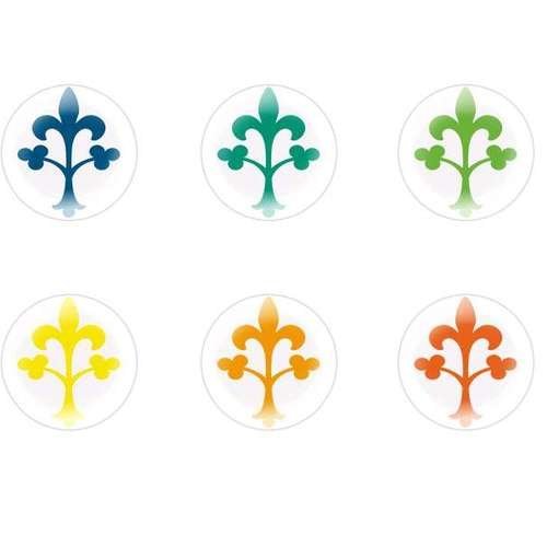 6pcs x 25mm main ronde verre tchèque en forme de dôme cabochons fleurs 156 s1t476 sku-23348