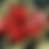 Opaque rouge bordeaux tchèque en verre ovale perle caps 8mm x 10mm 18pcs sku-18257