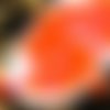 50pcs orange mat ab halloween pincée de verre tchèque entretoise bicone à facettes perles 5mm sku-19258