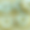 4pcs picasso brun opaque blanc albâtre d'or de lavage à plat pièce de trilobite fossiles marins de l sku-35057