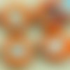 4pcs picasso brun opaque la jacinthe d'orange turquoise de lavage à plat pièce de trilobite fossiles sku-35062
