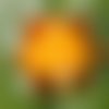Soleil murano perles de verre orange jaune perle été lampwork printemps tchèque sra faits à la main  sku-17732