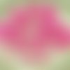 60pcs albâtre valentine rose en soie matte pincée tchèque perles de verre de 5mm sku-28501