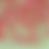 40pcs cristal corail rouge bordée ronde à facettes feu poli entretoise de verre tchèque perles de 6m sku-33240