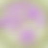 30pcs lumière de soie violet mat de verre tchèque preciosa épine poignard perles feuille plate de 5  sku-26887