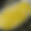 50pcs petit soyeux pastel jaune verre tchèque poignard de perles de feuille de pétales de 11mm x 3mm sku-18908