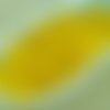 100pcs cristal ambre jaune clair ronde à facettes feu poli petite entretoise tchèque perles de verre sku-33424