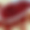 10g de cristal rouge rubis bi-bo 2 trou bibo twin verre tchèque perles de 2 8 mm x 5.5 mm sku-32273
