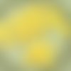 30pcs de soie jaune mat de verre tchèque preciosa épine poignard perles feuille plate de 5 mm x 16mm sku-26894