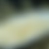 60pcs albâtre pastel crème pincée tchèque perles de verre de 5mm sku-18840