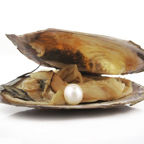 1pc blanc perle de culture d'eau douce de l'amour souhaitent l'huître perlière coquillage baroque 10 sku-38934