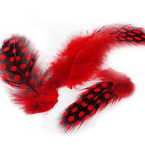 30pcs teints en rouge à pois repéré guinée poule plumes pendentif boucles d'oreilles bijoux en pluma sku-39346