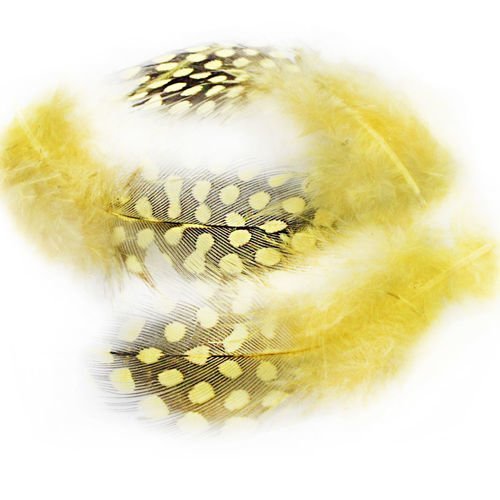 30pcs teint jaune à pois repéré guinée poule plumes pendentif boucles d'oreilles bijoux en plumage c sku-39347