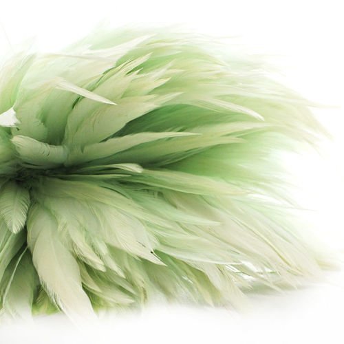 40pcs turquoise vert aqua light teint les plumes de coq pendentif boucles d'oreilles bijoux de la ch sku-39354