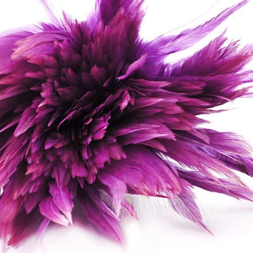 40pcs violet clair teint les plumes de coq pendentif boucles d'oreilles bijoux de la chapellerie sel sku-39358