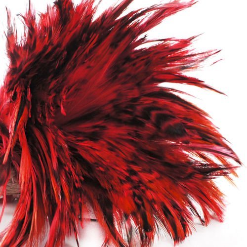 40pcs rose rougeâtre noir teint les plumes de coq pendentif boucles d'oreilles bijoux de la chapelle sku-39373